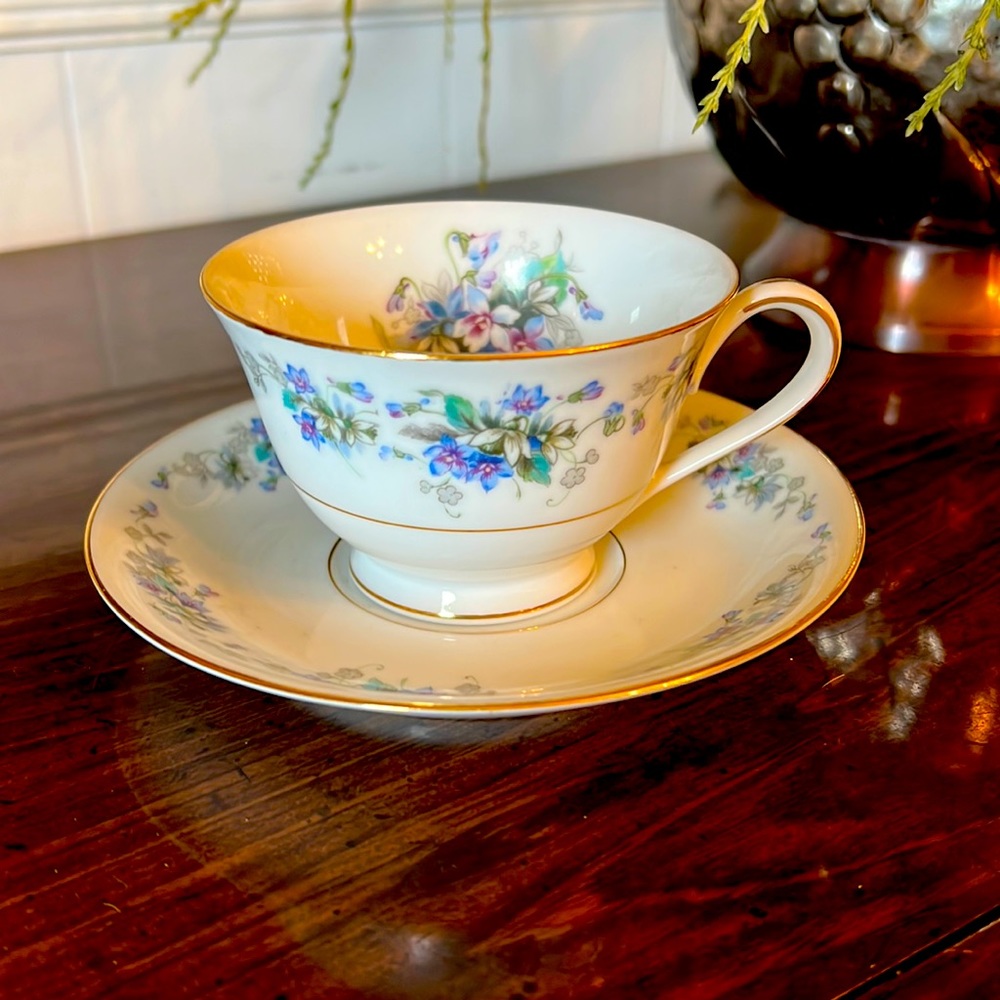 Vintage NORITAKE Violette Cup and Saucer Set - Excellent